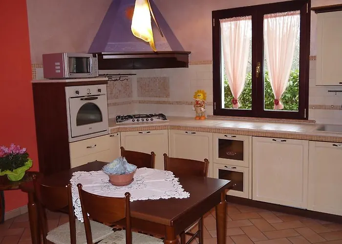 Cara Pace Римини