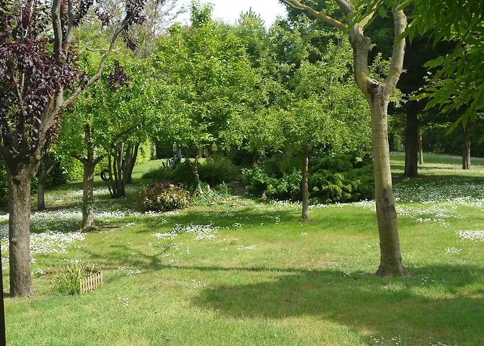 Apartament Cara Pace